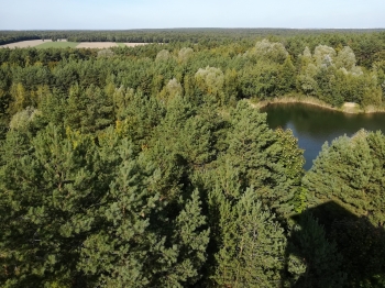 Widok z wieży widokowej na Wielkopolski Park Narodowy