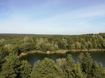 Widok z wieży widokowej na Wielkopolski Park Narodowy (2)
