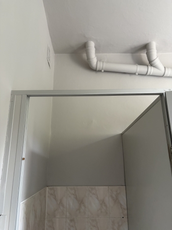 image00005.jpeg